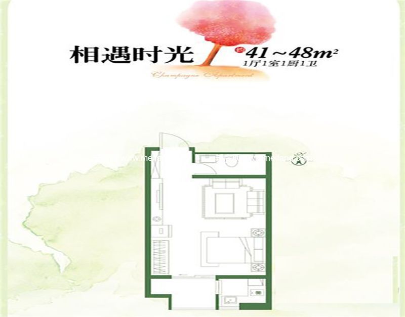 1号楼公寓B户型 1室1厅1厨1卫 48.00㎡ 1号楼公寓B户型 1室1厅1厨1卫 48.00㎡