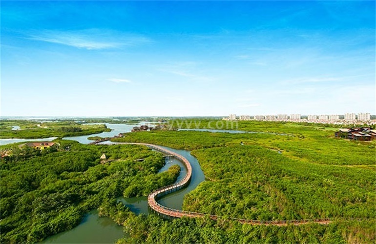 水韵金江 红树林生态公园
