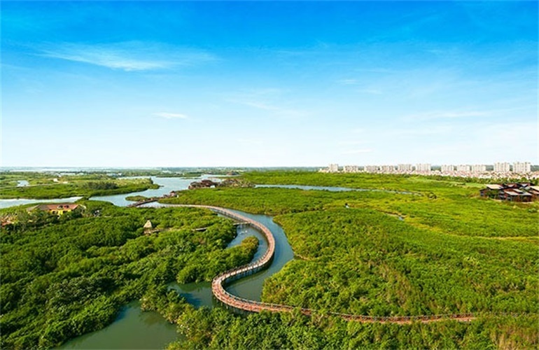 景园悦海湾 红树林生态公园