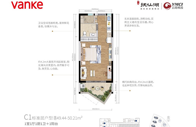 C1标准层户型 1室1厅1卫1厨 49-51㎡ C1标准层户型 1室1厅1卫1厨 49-51㎡