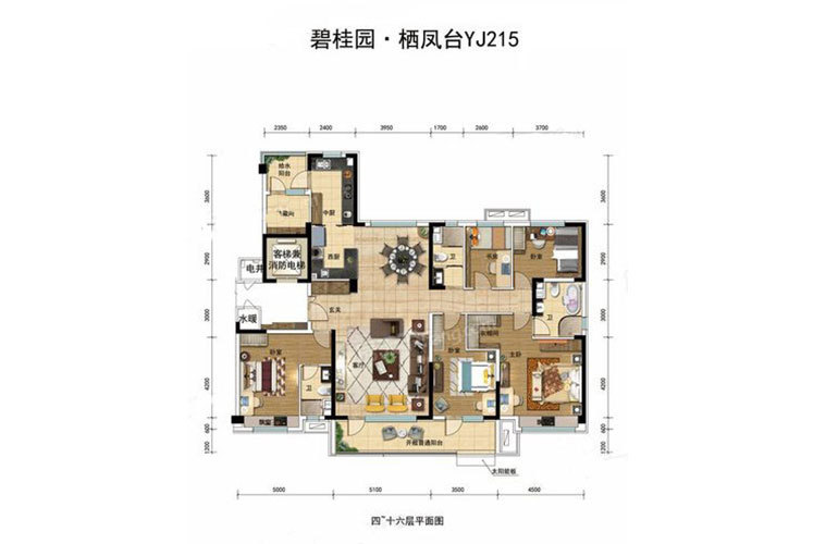 碧桂园栖凤台 YJ215户型5室2厅3卫215㎡