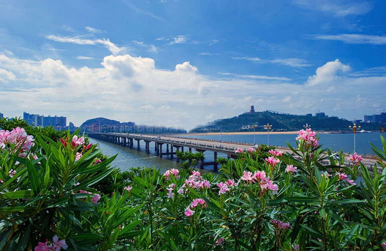 桂海东盟商贸中心 配套图：西海湾大桥