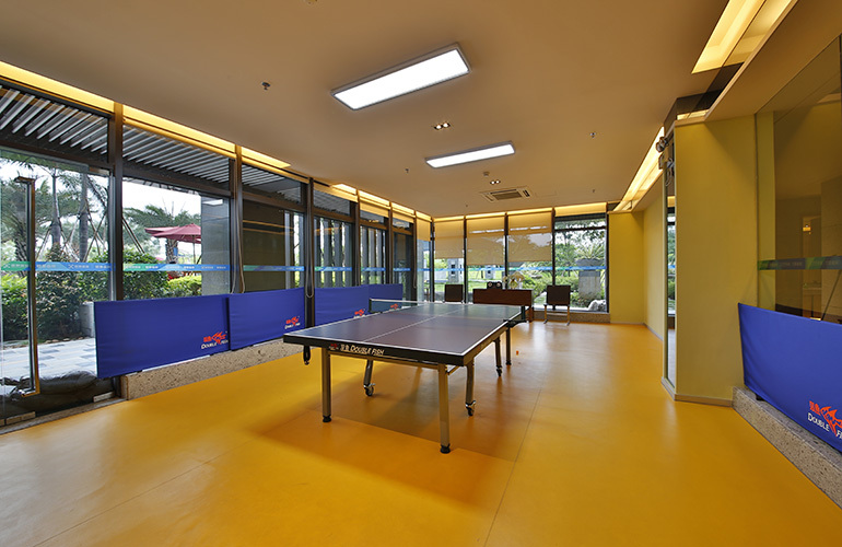 乒乓球馆（室、活动区）