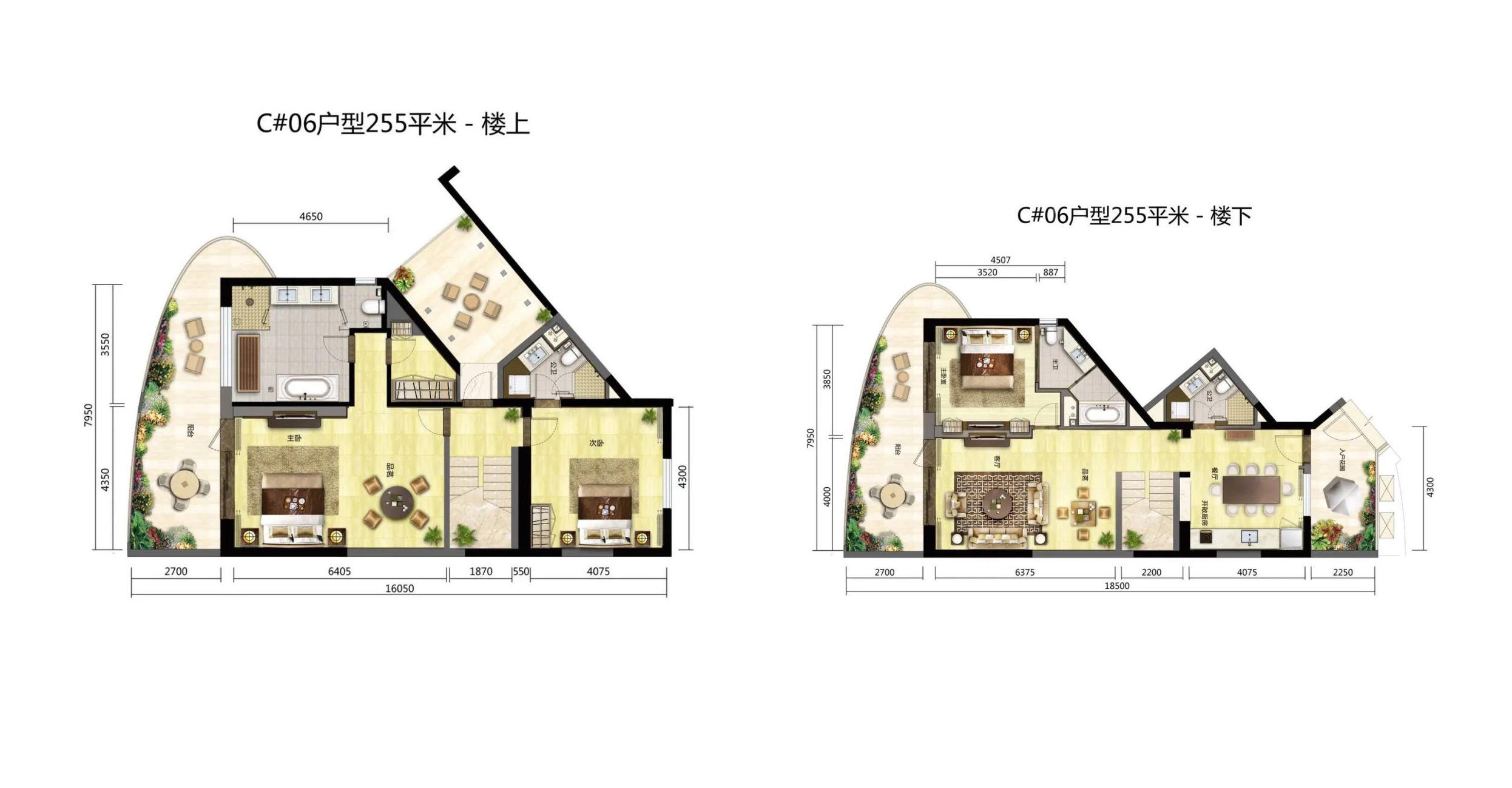 高层 C#06户型 3房3厅3卫 建面255㎡