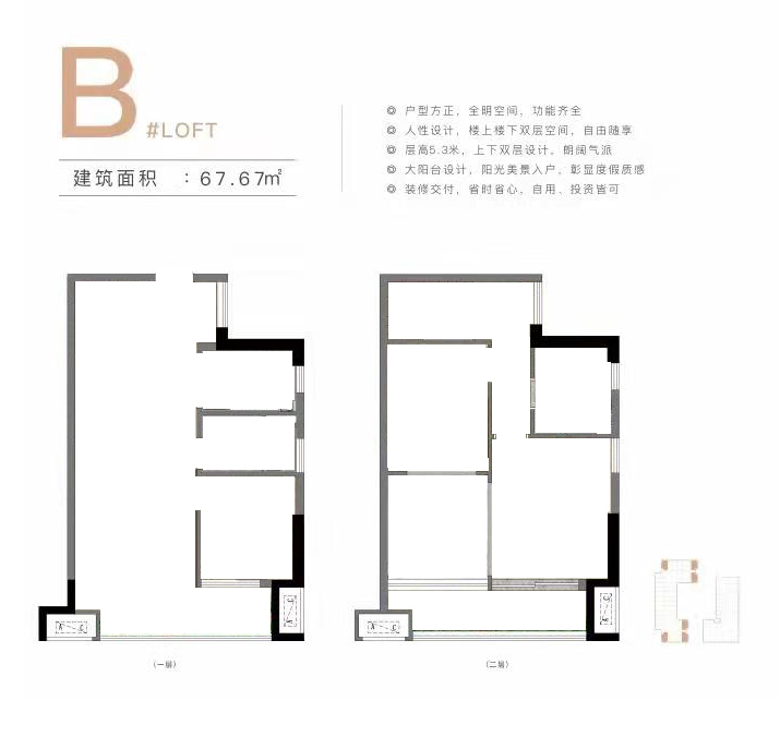 大华锦绣海岸玲珑海 loft B户型 建面67㎡