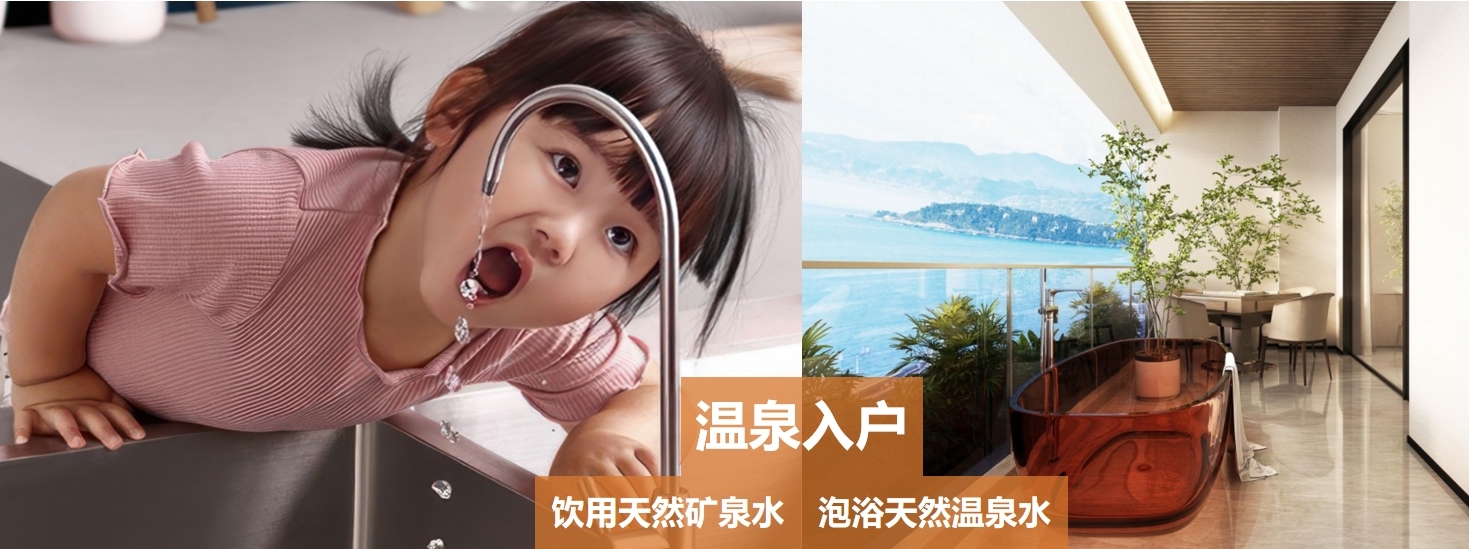 翡丽温泉公馆 效果图