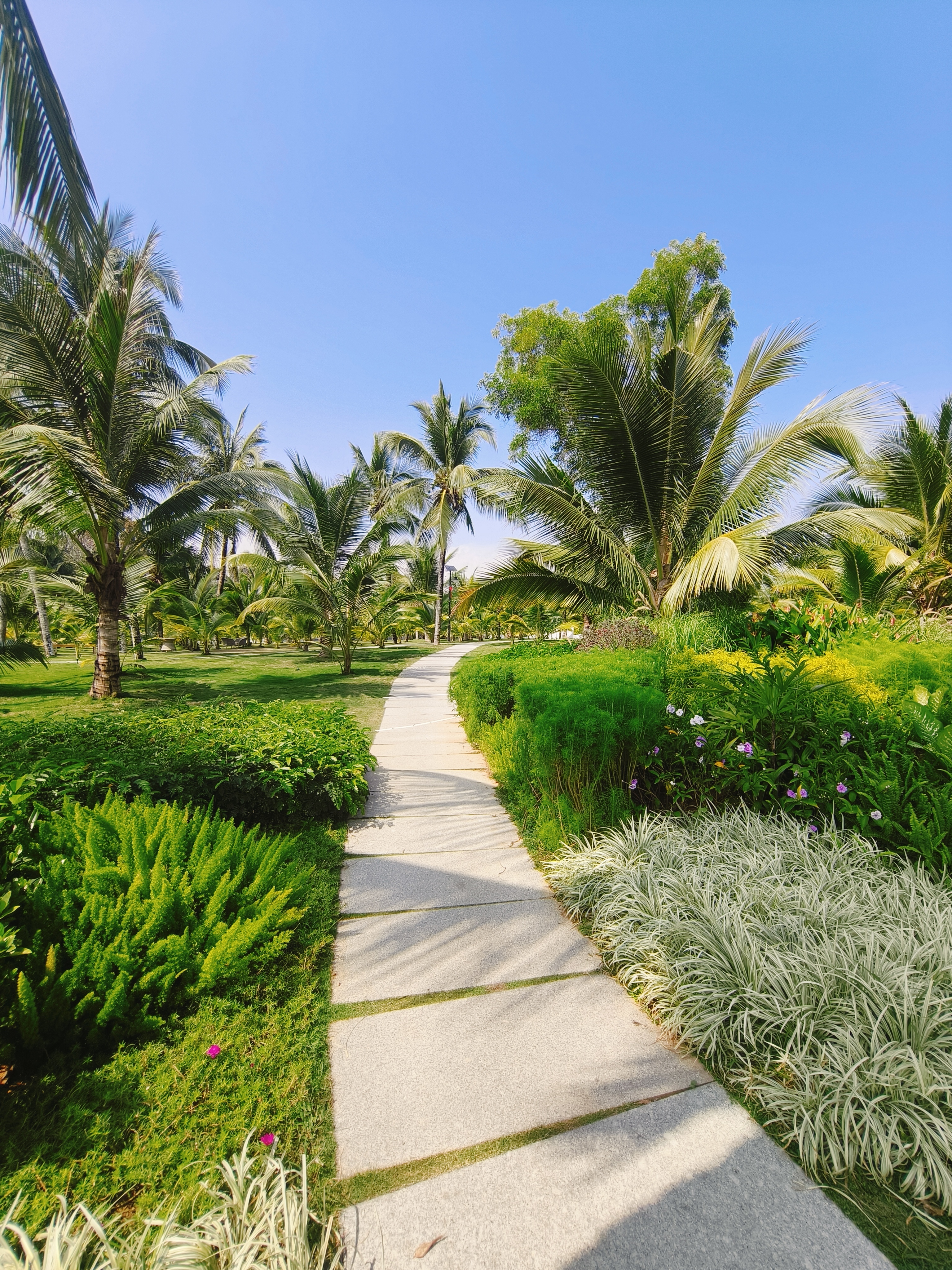 清凤海棠长滩&middot;别院 