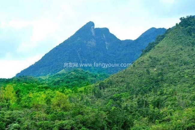 鹦哥岭森林旅游区