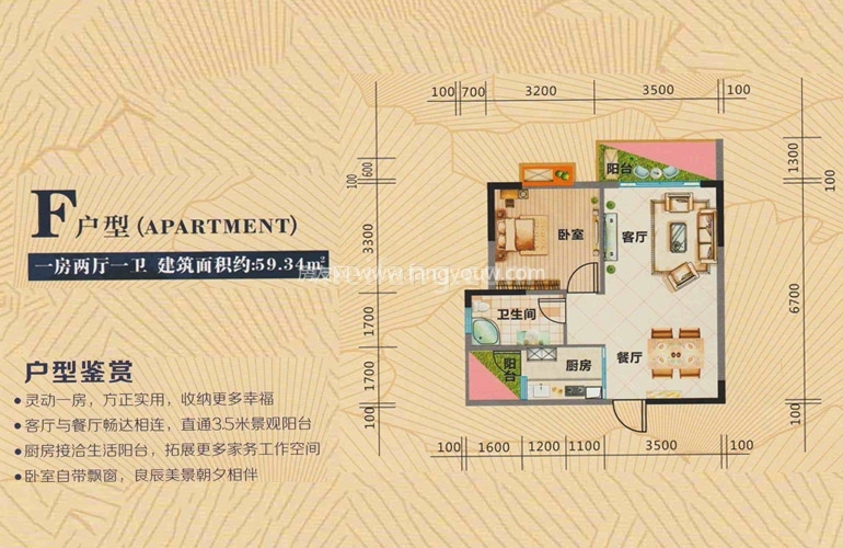 高层 F户型 一房两厅一卫  建面59㎡
