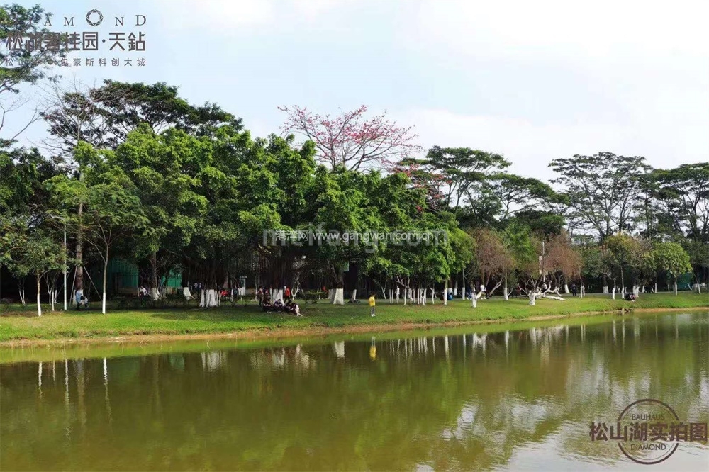 松湖碧桂园天钻实景图