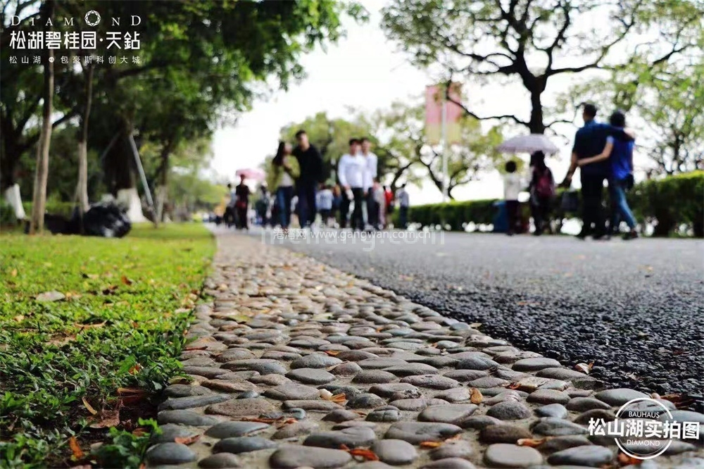 松湖碧桂园天钻实景图