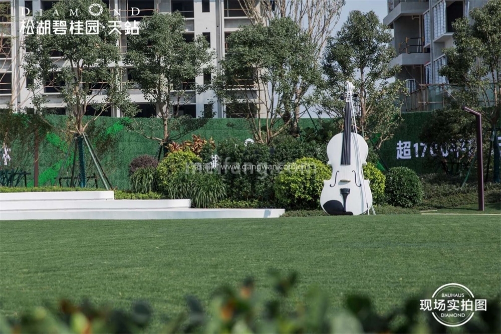 松湖碧桂园天钻实景图