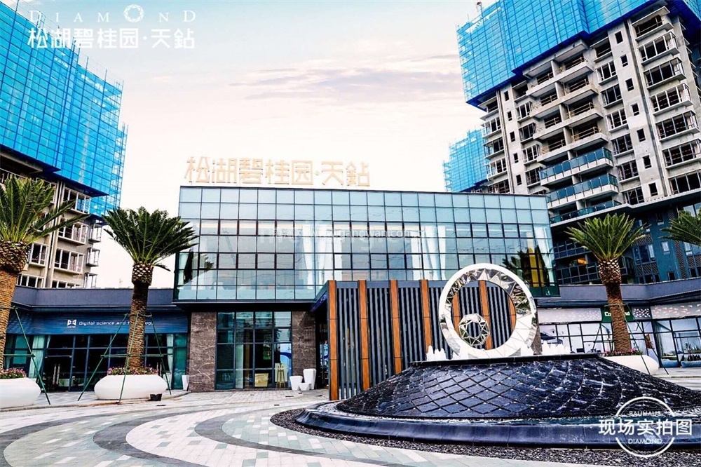 松湖碧桂园天钻实景图