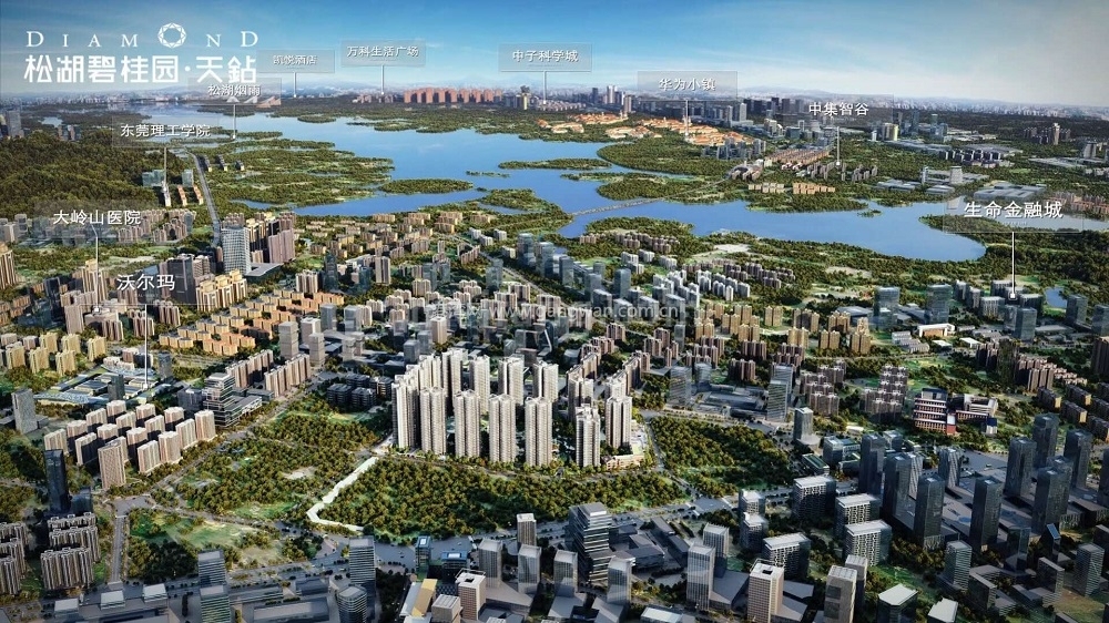 松湖碧桂园天钻规划图