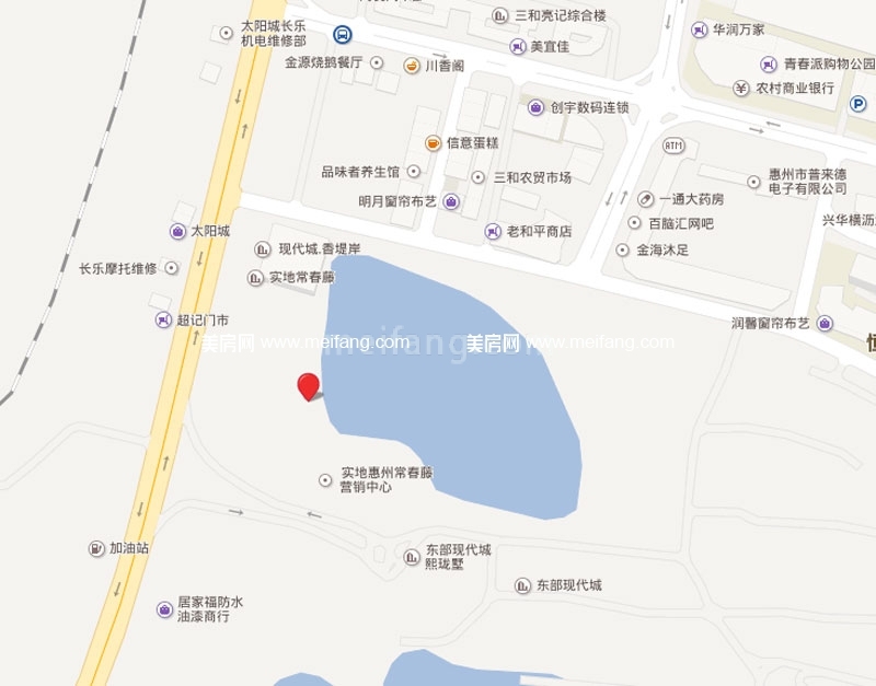 实地常春藤