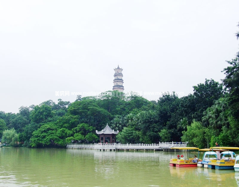 实地常春藤