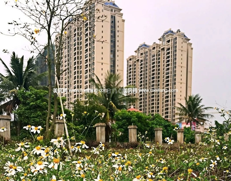 新科桃园实景图