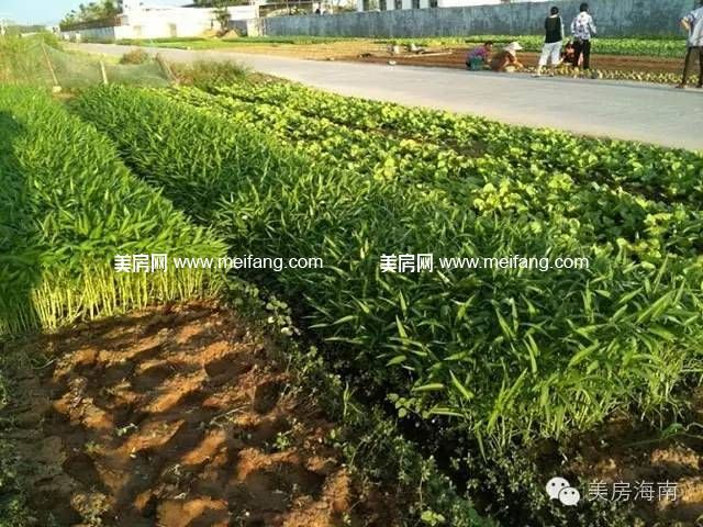 0 (4).jpg?x-oss-process=style/web_png_style