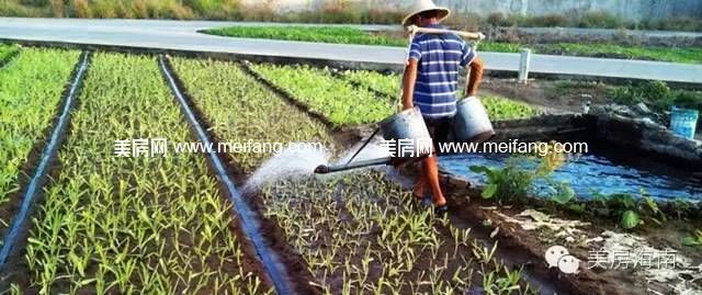 0 (10).jpg?x-oss-process=style/web_png_style