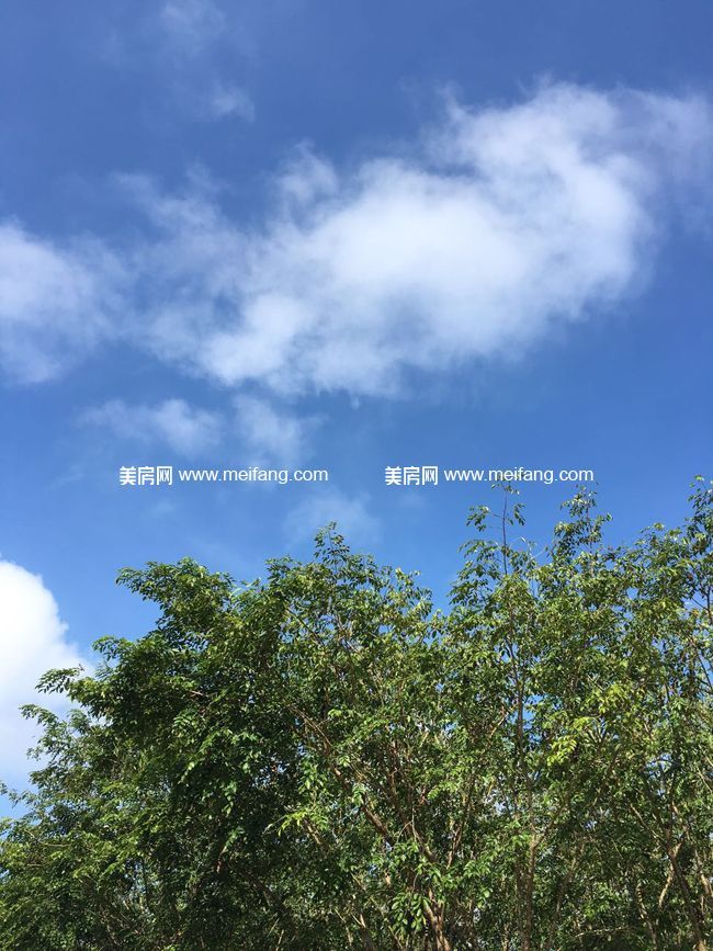 115362923145879165.jpg?x-oss-process=style/web_png_style