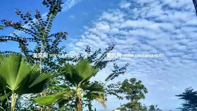 672910975000140865.jpg?x-oss-process=style/web_png_style