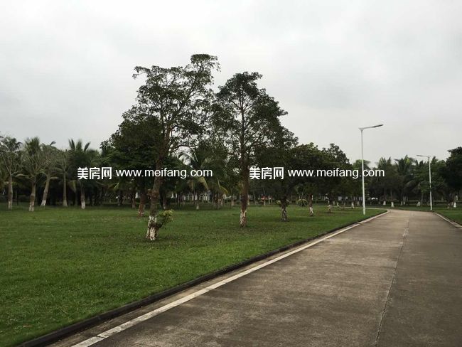 361033786456858382.jpg?x-oss-process=style/web_png_style