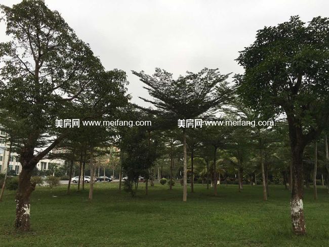 443304249976180565.jpg?x-oss-process=style/web_png_style