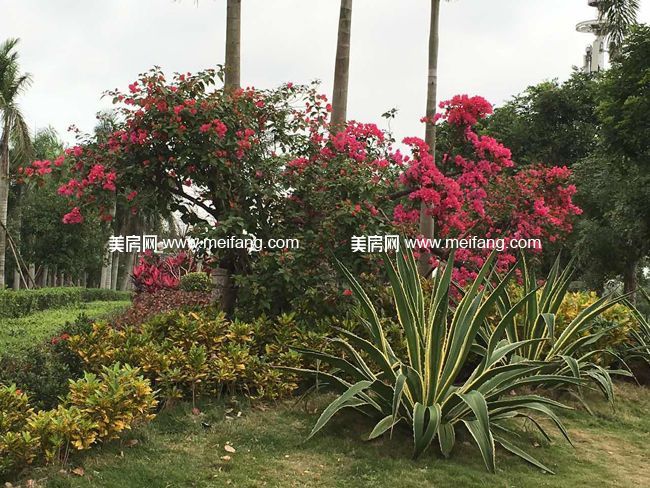 593039640606838140.jpg?x-oss-process=style/web_png_style