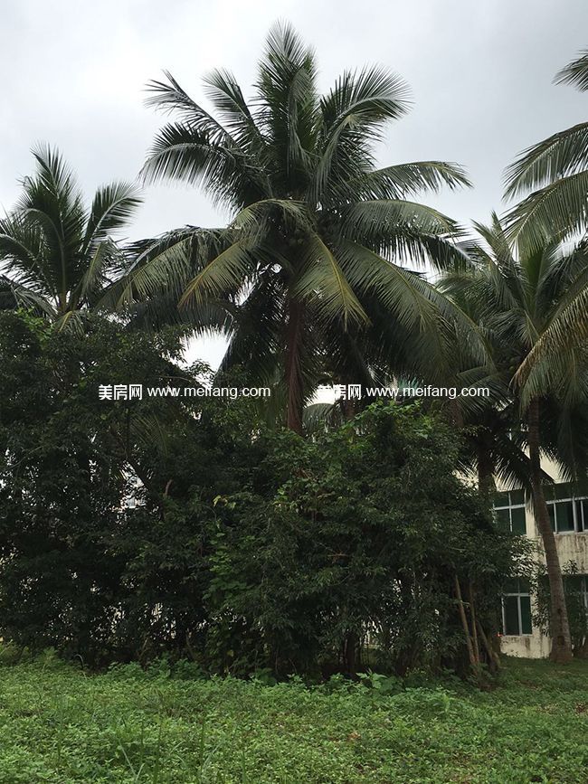 448778439101077324.jpg?x-oss-process=style/web_png_style