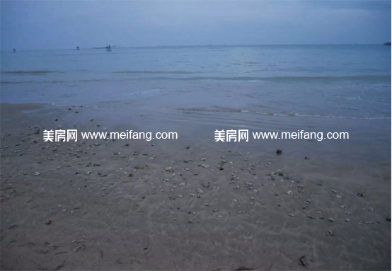文昌东郊椰林周边海岸的滩涂