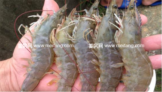 1489111669(1).jpg?x-oss-process=style/web_png_style