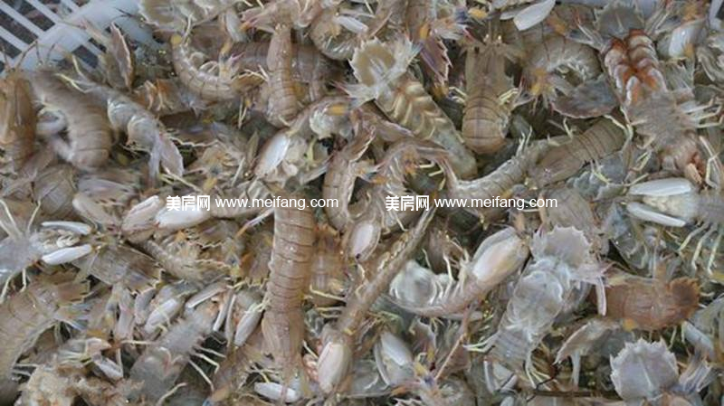 1489112061.jpg?x-oss-process=style/web_png_style