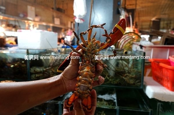 1489112727(1).jpg?x-oss-process=style/web_png_style