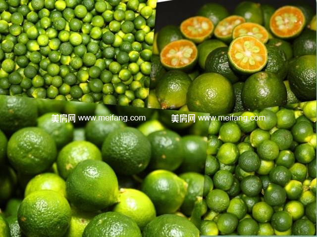 1489113464(1).jpg?x-oss-process=style/web_png_style