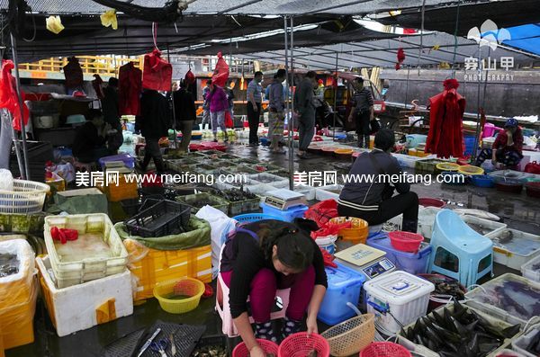 1489114184.jpg?x-oss-process=style/web_png_style