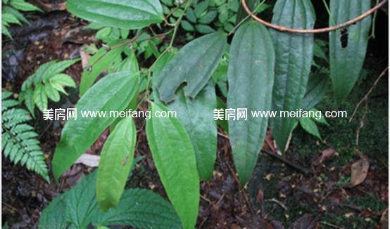 1490585150(1).jpg?x-oss-process=style/web_png_style