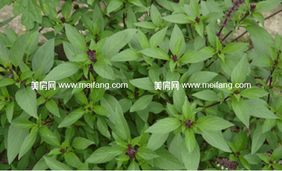 1490585543(1).jpg?x-oss-process=style/web_png_style