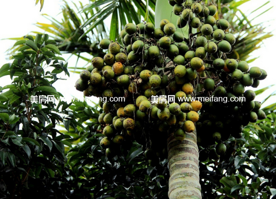 1490585611.jpg?x-oss-process=style/web_png_style