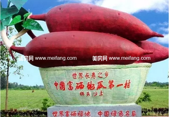 1493706370(1).jpg?x-oss-process=style/web_png_style