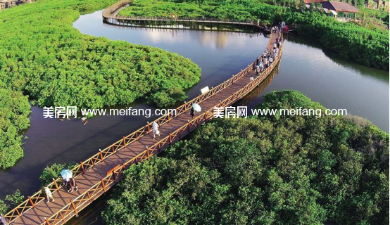 1493706595(1).jpg?x-oss-process=style/web_png_style