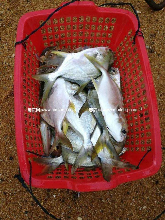 36.jpg?x-oss-process=style/web_png_style 36.jpg?x-oss-process=style/web_png_style