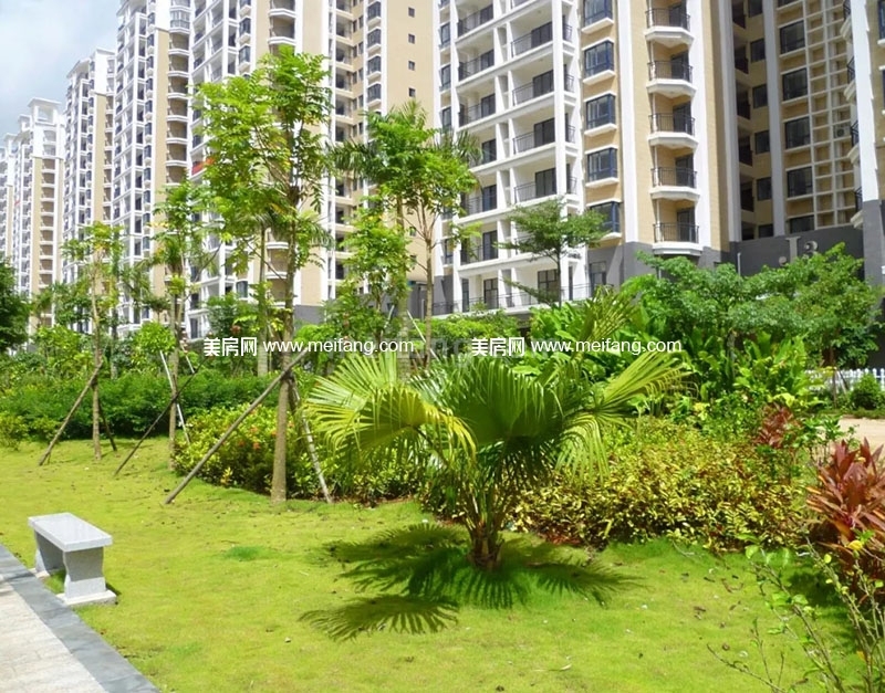 阳光椰风苑实景图4