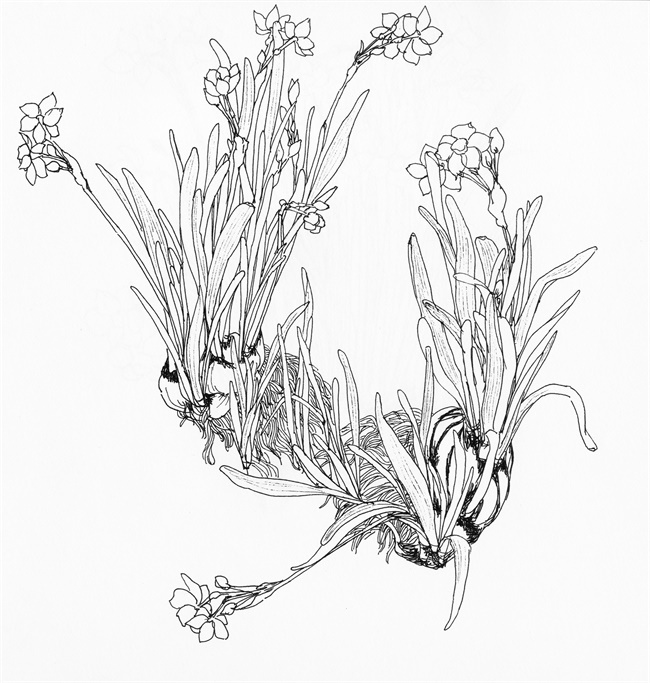 守望童真 ----青年女画家郝颉宇作品赏析 守望童真 ----青年女画家郝颉宇作品赏析