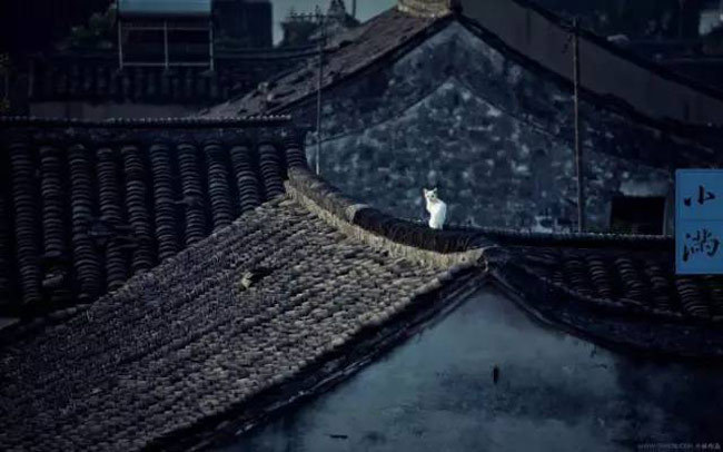 林帝浣作品