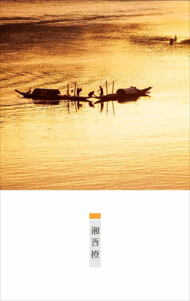 林帝浣作品