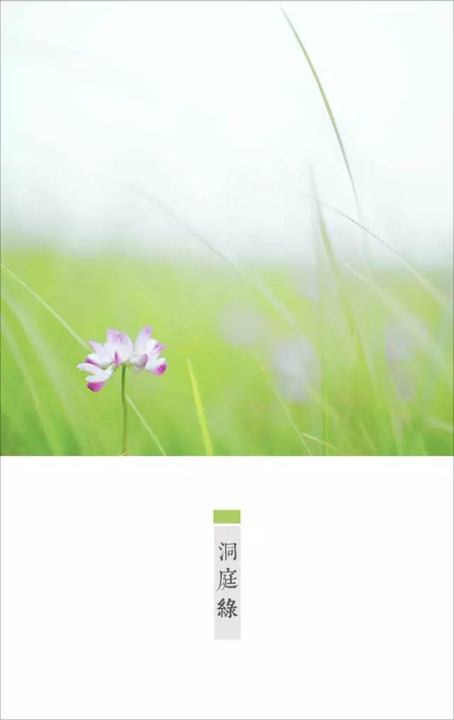 43.jpg?x-oss-process=style/web_png_style