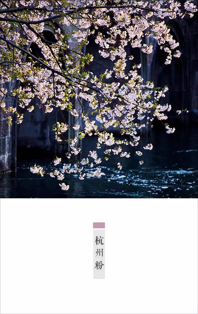 林帝浣作品