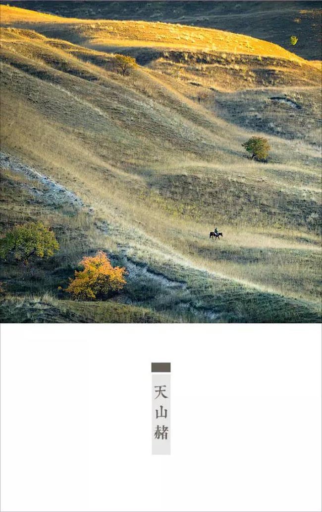 林帝浣作品