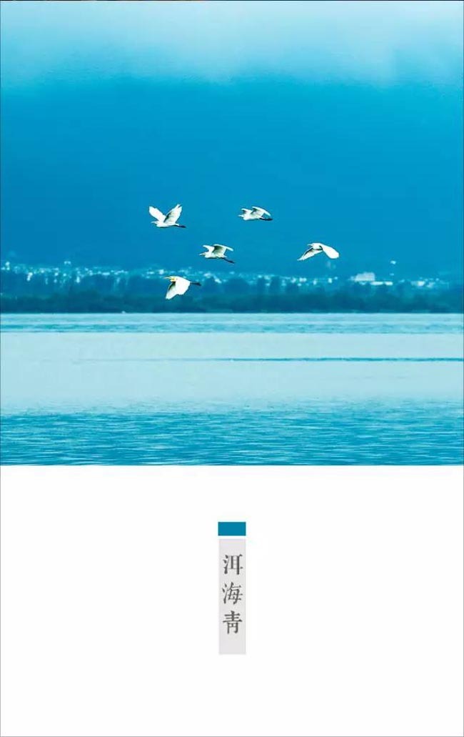林帝浣作品