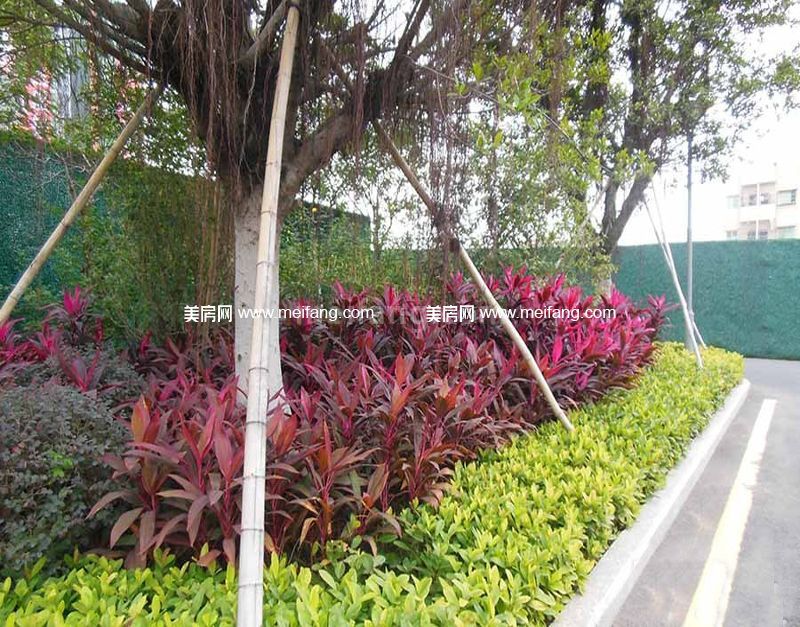 中骏四季阳光园林实景图